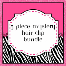 Load image into Gallery viewer, Mystery 10 Piece Hair Clip Bundle