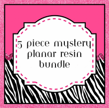 Load image into Gallery viewer, Mystery 10 Piece Planar Resin Bundle