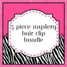 Load image into Gallery viewer, Mystery 10 Piece Hair Clip Bundle
